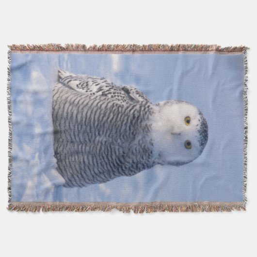 Cute Arctic Snowy Owl Photo Ontworpen Woven Deken (Voorkant)