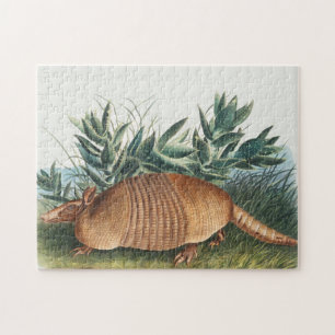 Cute  Armadillo Illustration Legpuzzel
