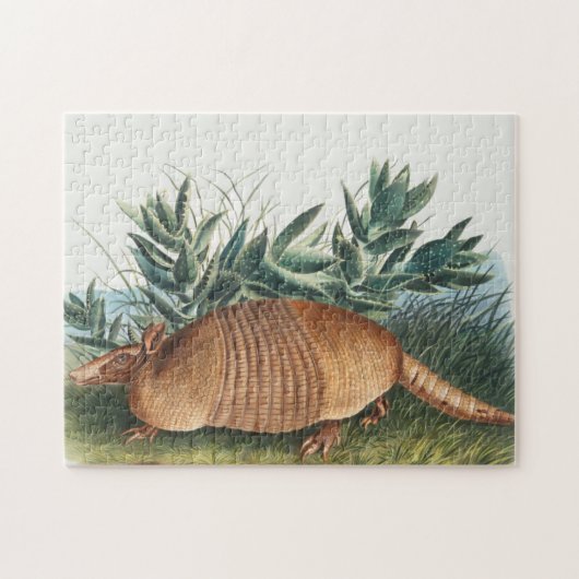 Cute  Armadillo Illustration Legpuzzel (Horizontaal)