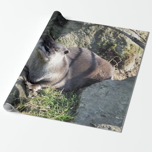 CUTE ASIAN OTTER CADEAUPAPIER (Uitgerold)