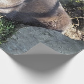 CUTE ASIAN OTTER CADEAUPAPIER (Hoek)