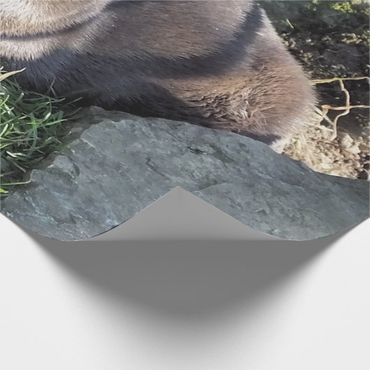 CUTE ASIAN OTTER CADEAUPAPIER (Hoek)