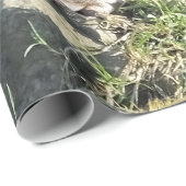 CUTE ASIAN OTTER CADEAUPAPIER (Rol Hoek)