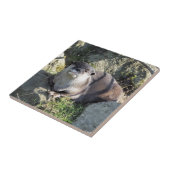 CUTE ASIAN OTTER TEGELTJE (Zijkant)