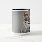 Cute Attractive Snow Bunting Georgia Photography Mok (Midden)