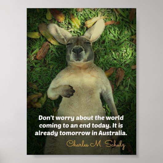 Cute Australia Kangaroo Poster (Voorkant)