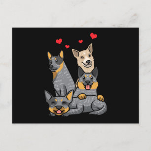 Cute Australian Cattle Dog Heeler Briefkaart