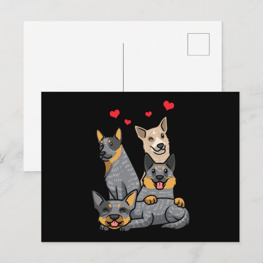 Cute Australian Cattle Dog Heeler Briefkaart (Voorkant / Achterkant)