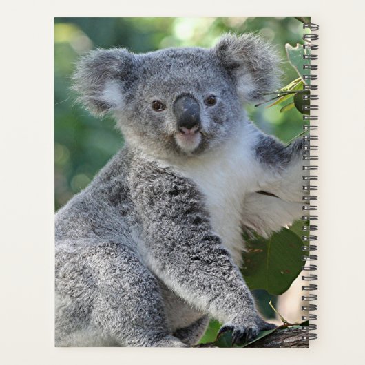 Cute Australian koala planner 2023 (Achterkant)