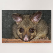 Cute Australian possum Legpuzzel (Horizontaal)