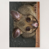 Cute Australian possum Legpuzzel (Verticaal)