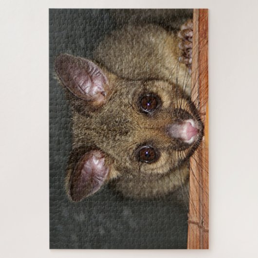 Cute Australian possum Legpuzzel (Verticaal)