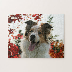 Cute Australian Shepherd Dog Portrait Legpuzzel