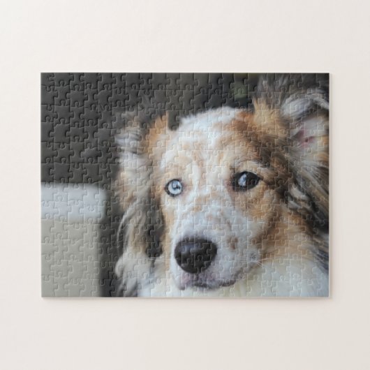 Cute Australian Shepherd Dog Portrait Legpuzzel (Horizontaal)