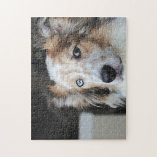 Cute Australian Shepherd Dog Portrait Legpuzzel (Verticaal)