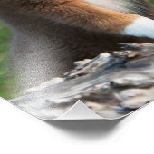 Cute Australian Shepherd Dog Puppy Pet Paperprint Foto Afdruk (Hoek)