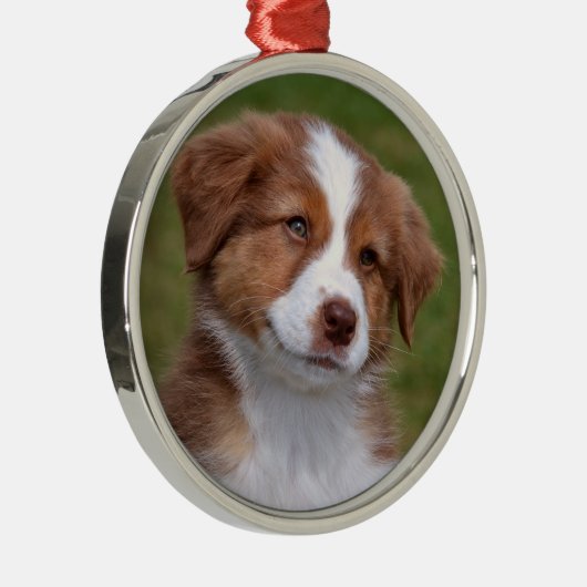 Cute Australian Shepherd Puppy Ceramic Ornament (Rechts)
