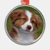 Cute Australian Shepherd Puppy Ceramic Ornament (Voorkant)