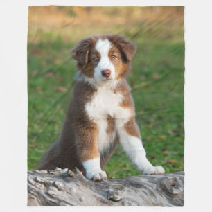 Cute Australian Shepherd Puppy, comfortabel Fleece Deken