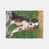 Cute Australian Shepherd Puppy, komfy Fleece Deken (Voorkant (Horizontaal))