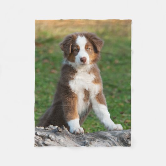 Cute Australian Shepherd Puppy, komfy Fleece Deken (Voorkant)