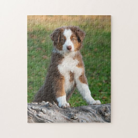 Cute Australian Shepherd puppy Legpuzzel (Verticaal)