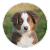 Cute Australian Shepherd puppy, portret Keramische Knop (Voorkant)