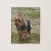 Cute Australian Terrier Legpuzzel (Verticaal)