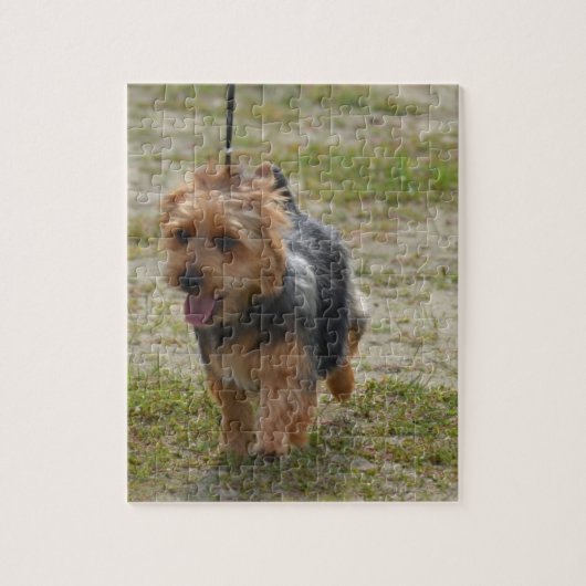 Cute Australian Terrier Legpuzzel (Verticaal)
