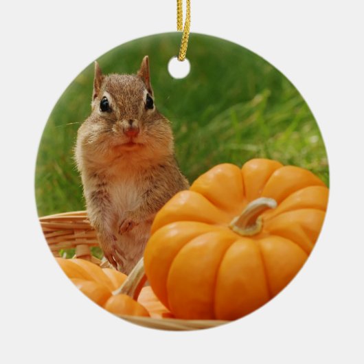 Cute Autumn Chipmunk Keramisch Ornament (Voorkant)