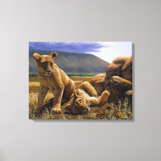 Cute Baby African Lion Cubs Canvas Afdruk (Voorkant)