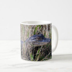 Cute Baby Alligator in Hoge Gras Wildlife Foto Koffiemok