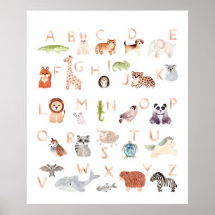 Cute Baby Animal Alphabet Poster