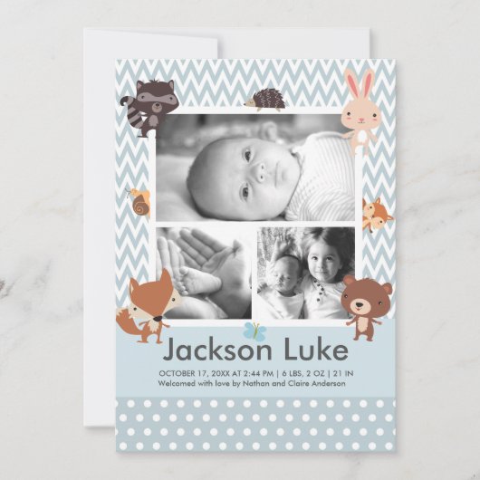 Cute Baby Animals Boy Foto geboorteaankondigingen Aankondiging (Voorkant)