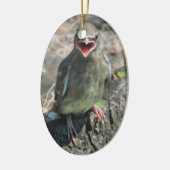 Cute Baby Bird Animal Ornament (Links)