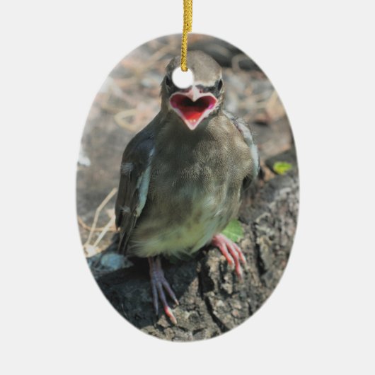 Cute Baby Bird Animal Ornament (Voorkant)