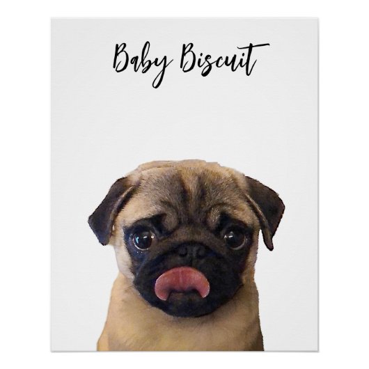 Cute Baby Biscuit Pug Portrait Poster (Voorkant)