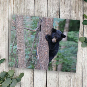 Cute Baby Black Beer Cub-Natuur klimboom Legpuzzel