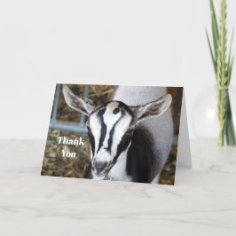 Cute Baby Boot Foto Bedankkaart