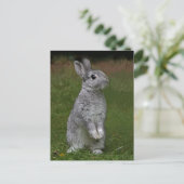 Cute Baby Bunny Briefkaart (Staand voorkant)