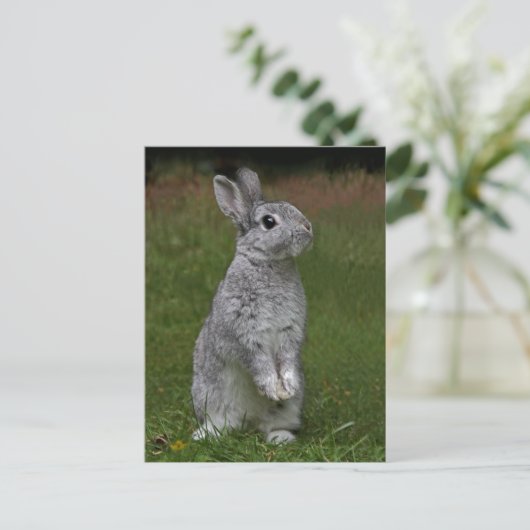 Cute Baby Bunny Briefkaart (Staand voorkant)