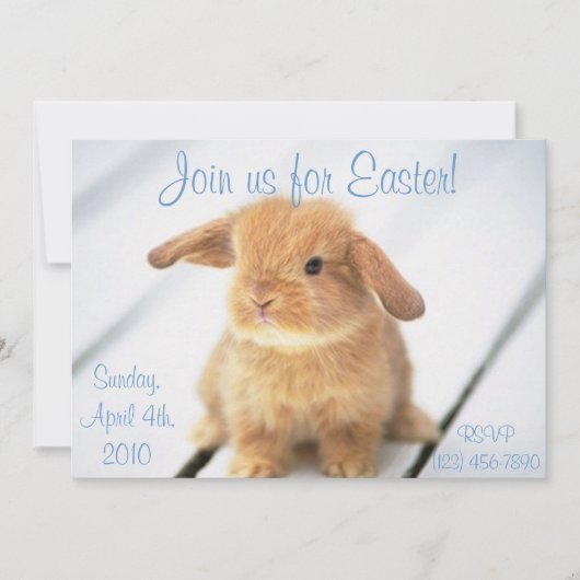 Cute Baby Bunny Easter Invitations Kaart (Voorkant)