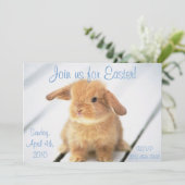 Cute Baby Bunny Easter Invitations Kaart (Staand voorkant)