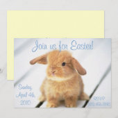 Cute Baby Bunny Easter Invitations Kaart (Voorkant / Achterkant)