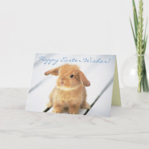 Cute Baby Bunny Happy Easter Design Feestdagen Kaart