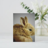 Cute Baby Bunny in hand Briefkaart (Staand voorkant)