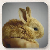 Cute Baby Bunny Rabbit in Hand Bier Onderzetter (Voorkant)
