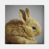 Cute Baby Bunny Rabbit in Hand Magneet (Voorkant)