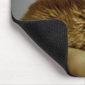 Cute Baby Bunny Rabbit in Hand Muismat (Hoek)