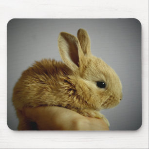 Cute Baby Bunny Rabbit in Hand Muismat